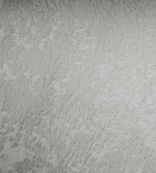 Poplar Fabric by Ashley Wilde Platinum