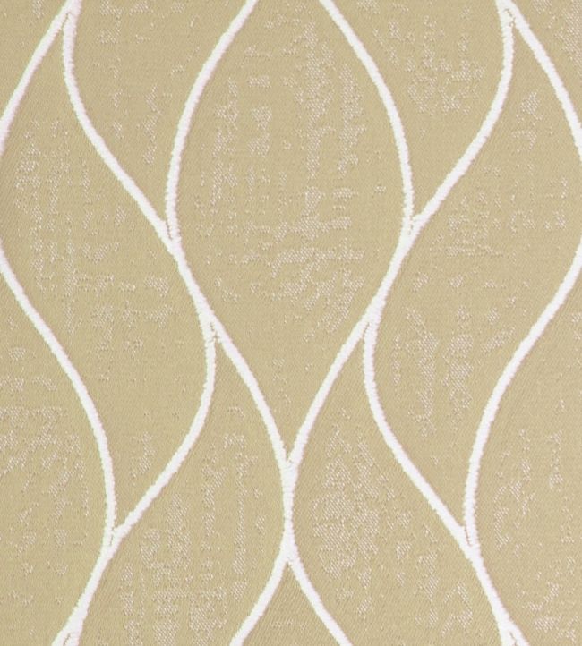 Romer Fabric by Ashley Wilde Champagne