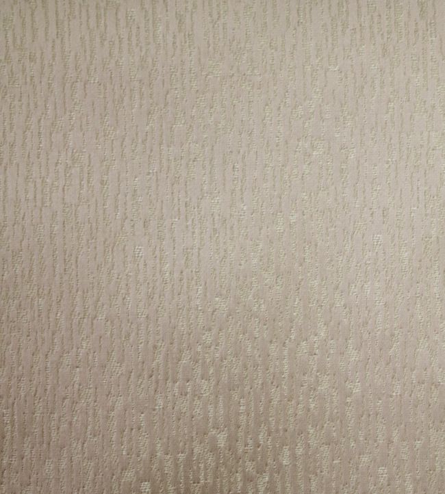 Shiloh Fabric by Ashley Wilde Champagne