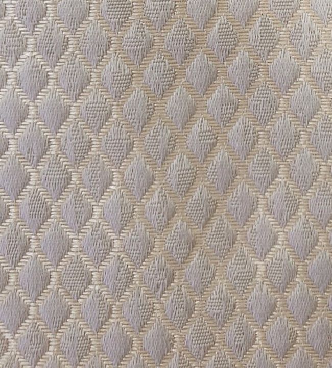 Trebeck Fabric by Ashley Wilde Champagne
