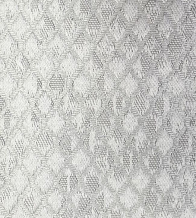 Trebeck Fabric by Ashley Wilde Platinum