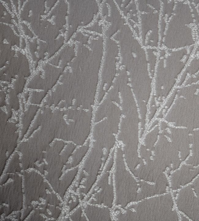 Waltham Fabric by Ashley Wilde Graphite