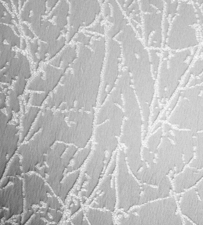 Waltham Fabric by Ashley Wilde Platinum