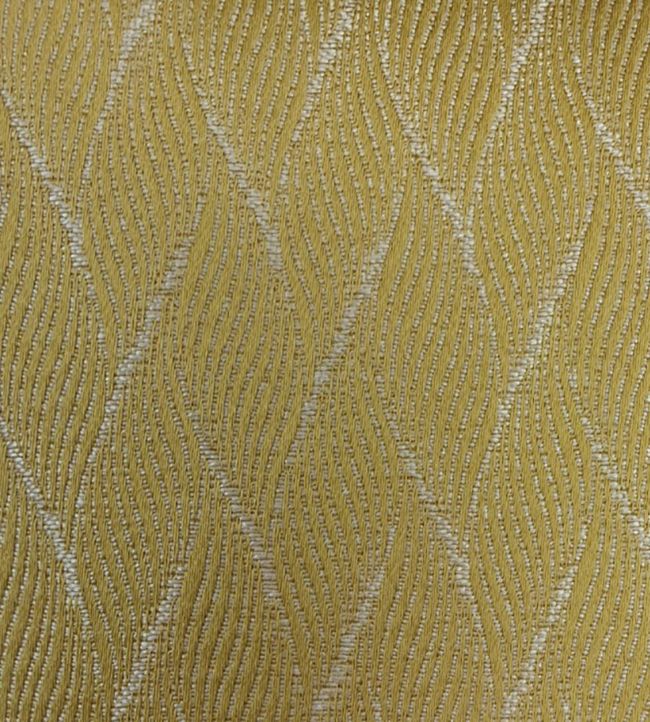 Eldon Fabric by Ashley Wilde Zest