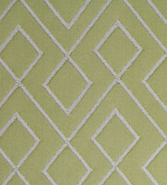 Kinver Fabric by Ashley Wilde Apple