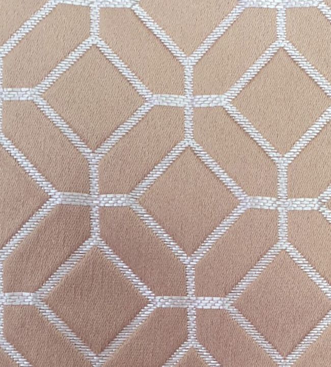 Lanark Fabric by Ashley Wilde Rose Gold
