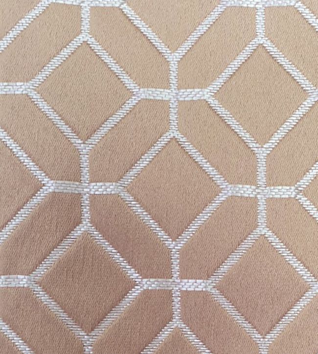 Lanark Fabric by Ashley Wilde Shell