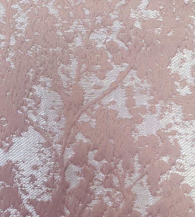Poplar Fabric by Ashley Wilde Blush