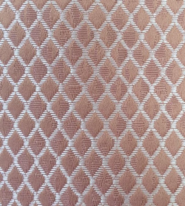 Trebeck Fabric by Ashley Wilde Rose Gold