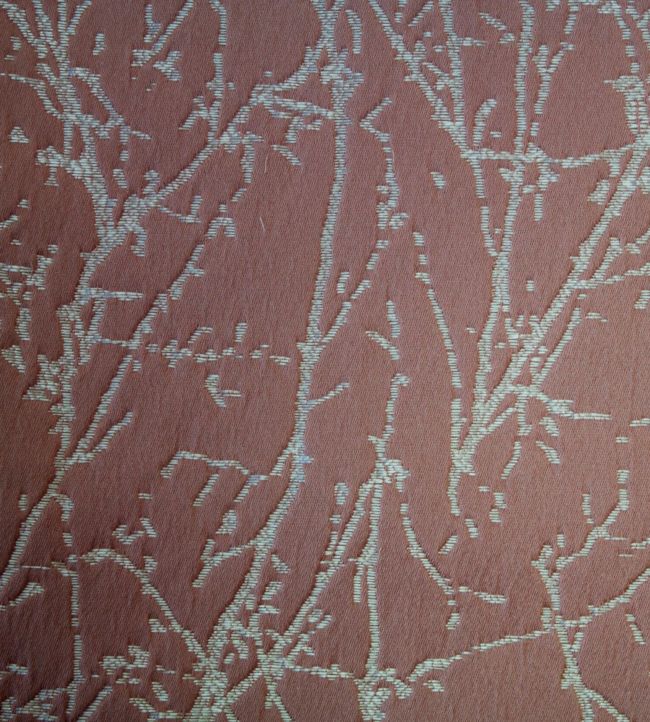 Waltham Fabric by Ashley Wilde Blush