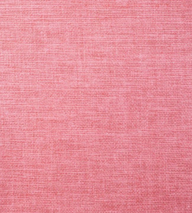 Lunar Fabric by Ashley Wilde Blush