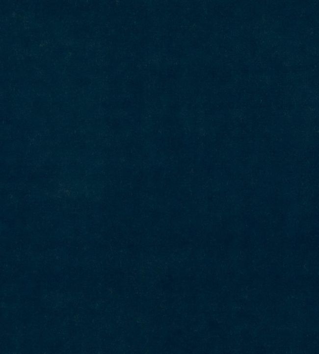 Baker House Velvet Fabric by GP & J Baker Baltic