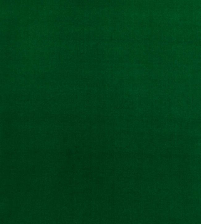 Baker House Velvet Fabric by GP & J Baker Emerald