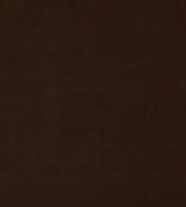 Baker House Velvet Fabric by GP & J Baker Espresso