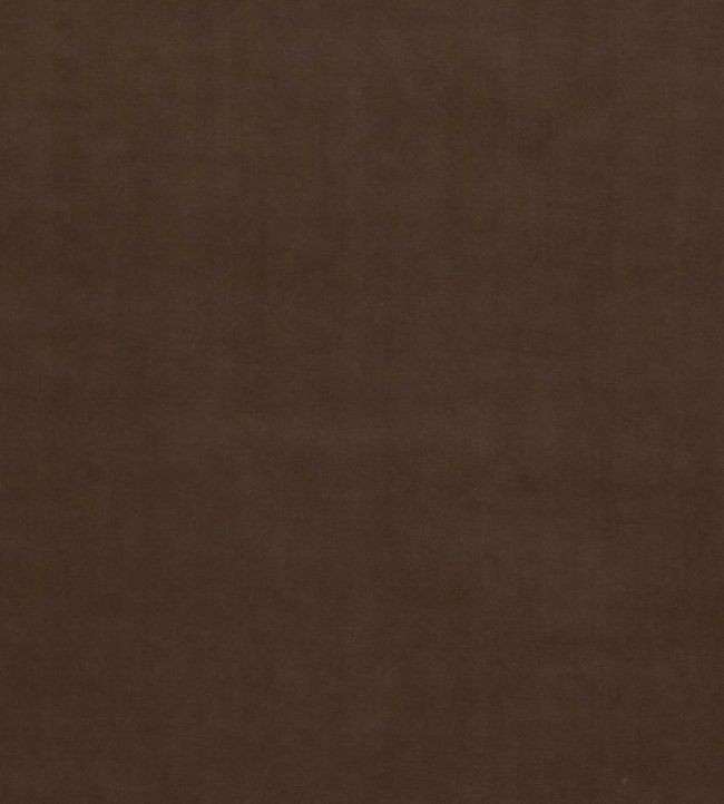 Baker House Velvet Fabric by GP & J Baker Mink