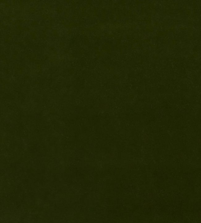 Baker House Velvet Fabric by GP & J Baker Olive