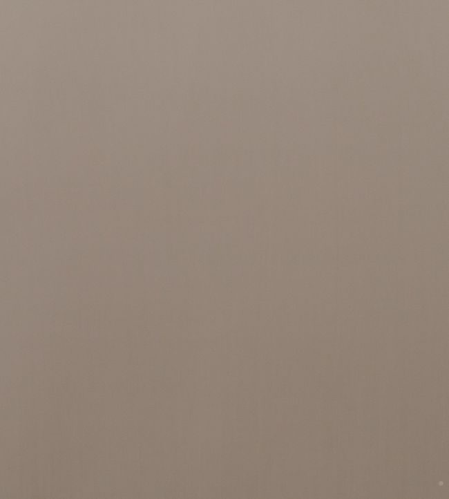 Montpellier Velvet Fabric by Baker Lifestyle Taupe