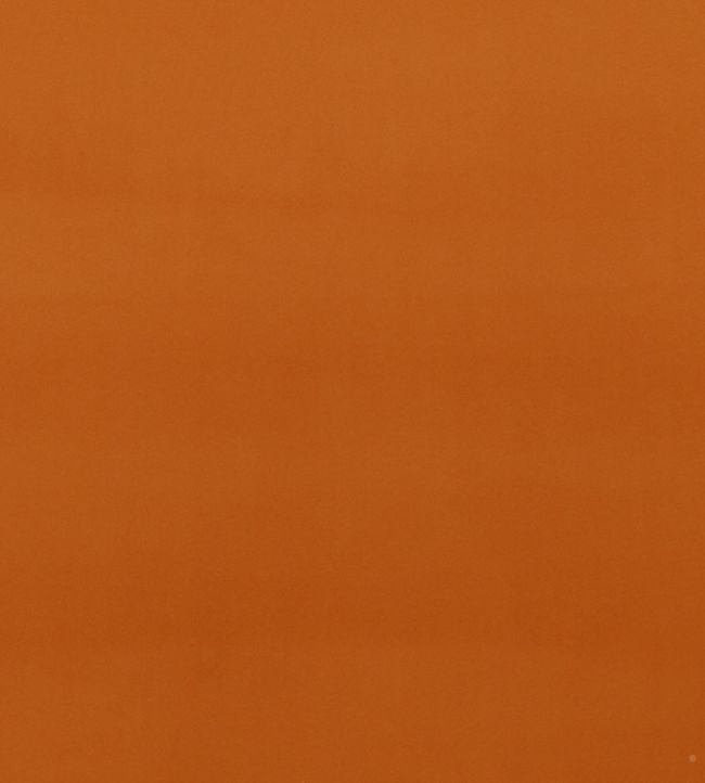 Montpellier Velvet Fabric by Baker Lifestyle Spice