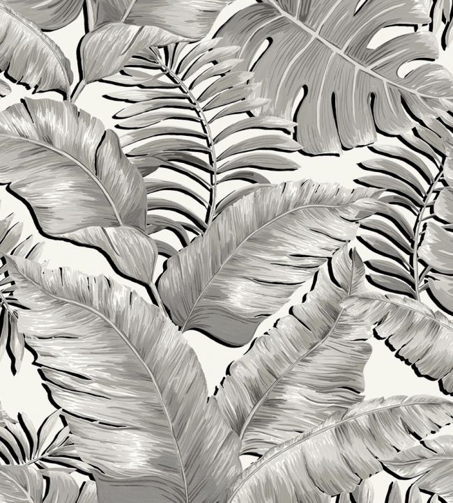 Banana Leaves Wallpaper In Black White By Brand Mckenzie Jane Clayton - Palm Leaf Wallpaper B Max