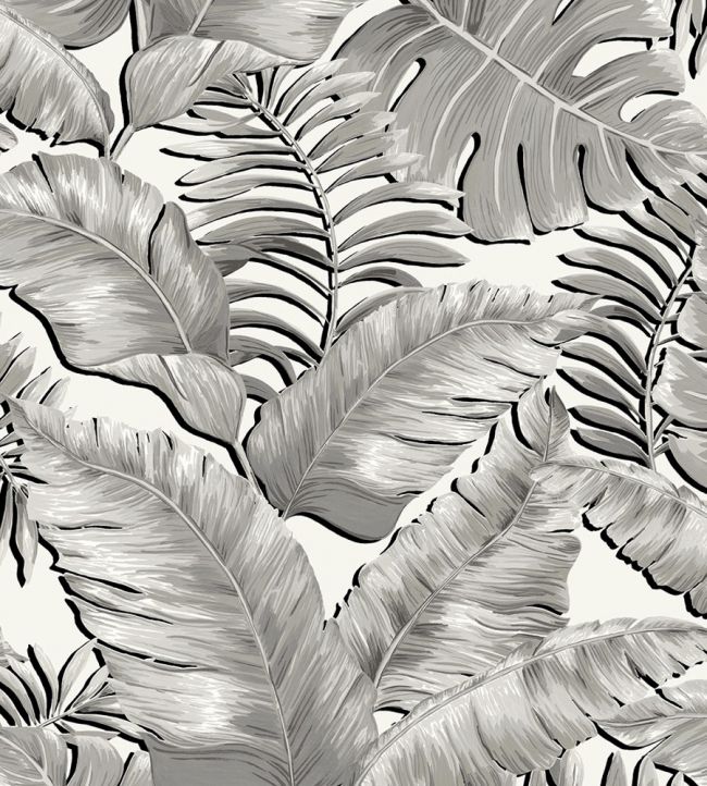 Banana Leaves Wallpaper in Black