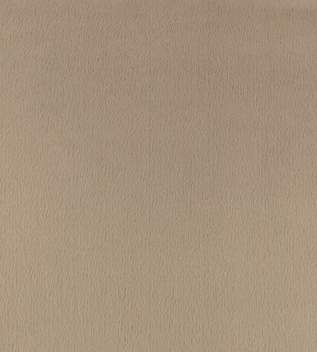 Benjamin Fabric by Zinc Putty