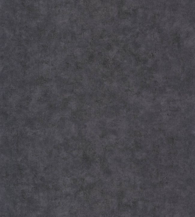 Benton Uni Wallpaper by Caselio Noir