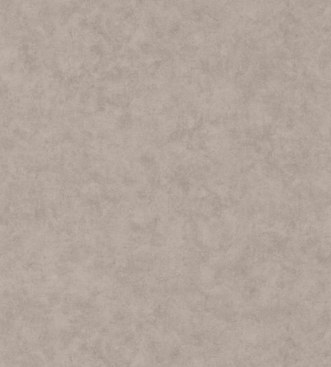 Benton Uni Wallpaper by Caselio Taupe gris moyen