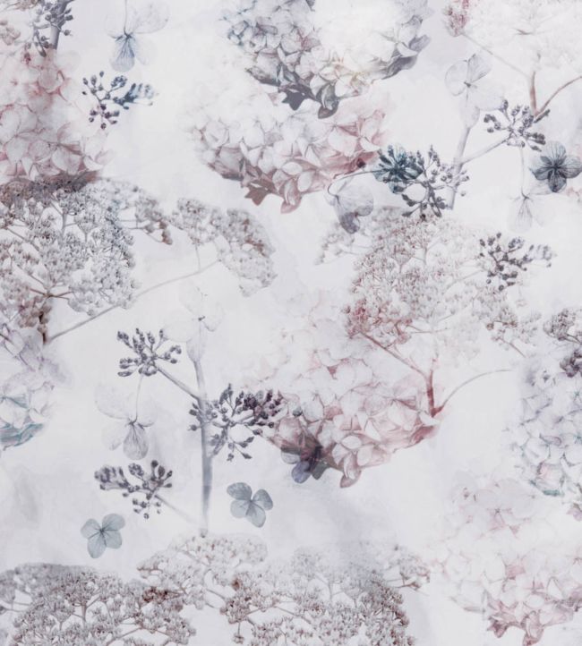 Betony Fabric by Ashley Wilde Blush