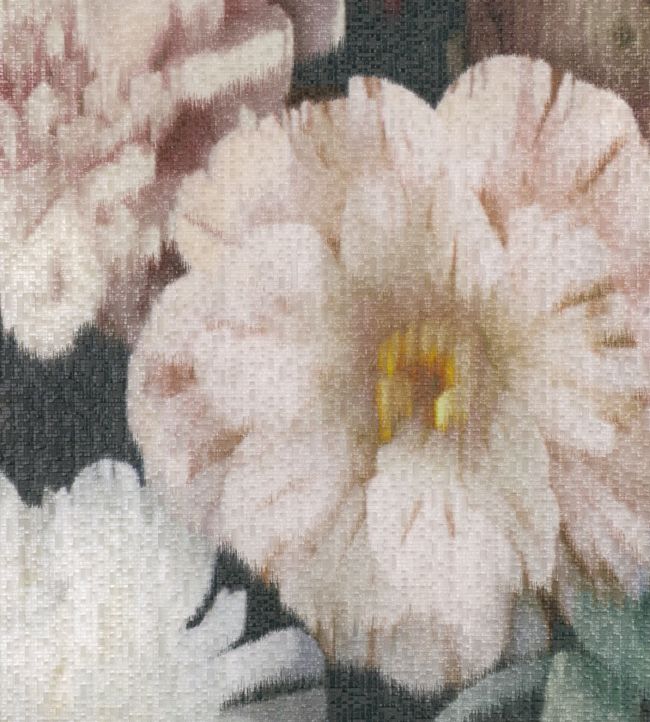 Herbaria Wallpaper by Black Edition in Malva Jane Clayton