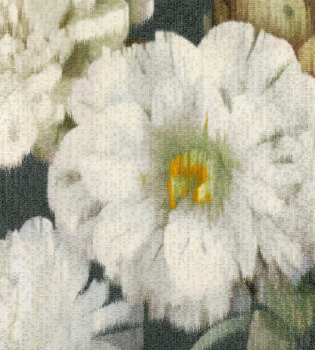 Herbaria Wallpaper by Black Edition in Obsidian Jane Clayton