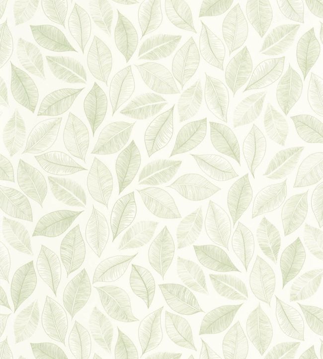 Bliss Wallpaper by Caselio Blanc Vert Mousse