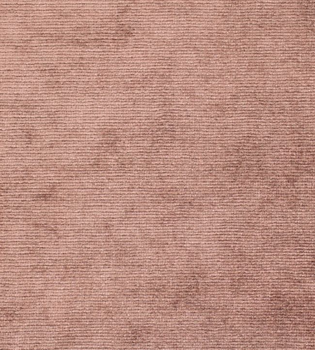 Boho Velvets Fabric by Sanderson Conch