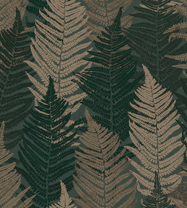Fern Forest Wallpaper by Borastapeter in 64 | Jane Clayton