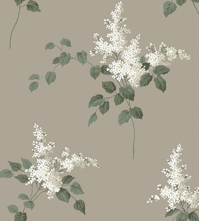 Lilacs Wallpaper by Borastapeter 67