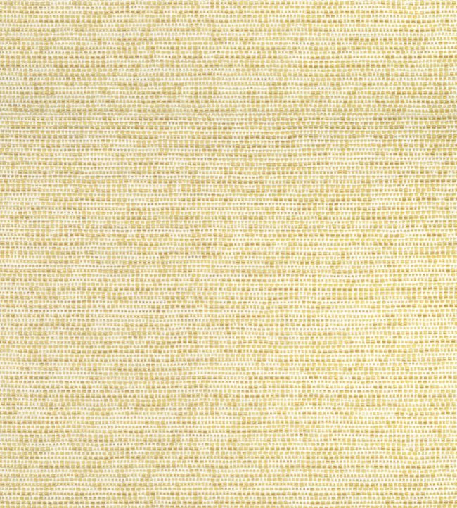 Borealis Fabric by Thibaut Buttercup