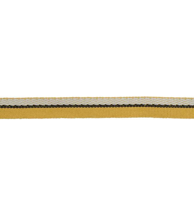 Braid 15mm Trimming by Houles 9140