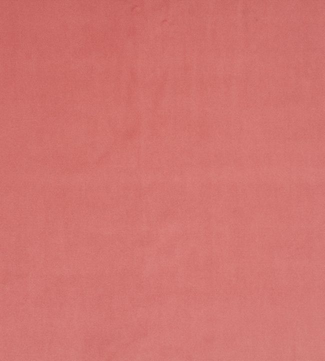 Breamore Fabric by Blendworth Coral