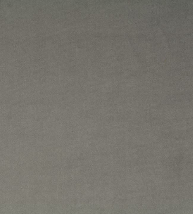 Breamore Fabric by Blendworth Fossil