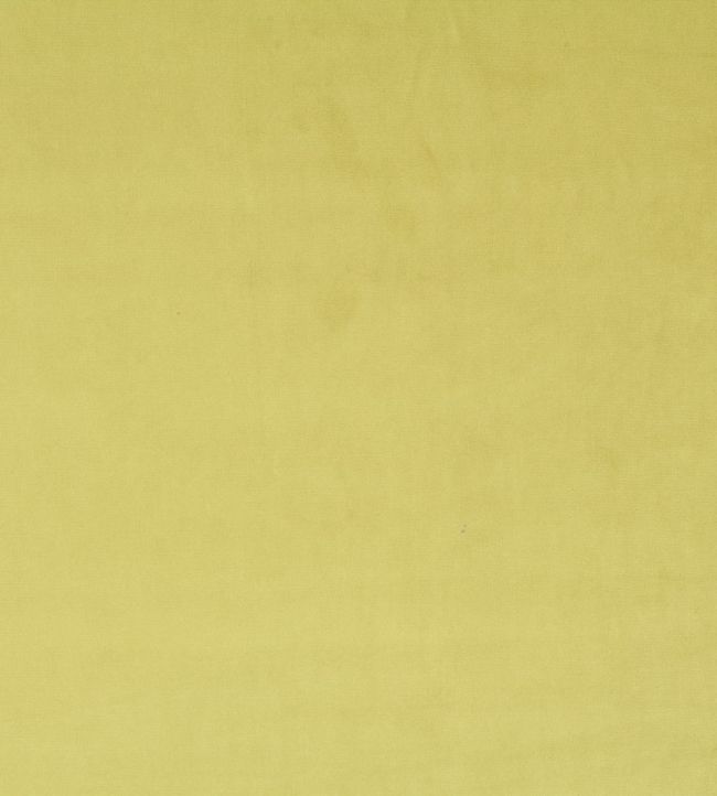 Breamore Fabric by Blendworth Lichen