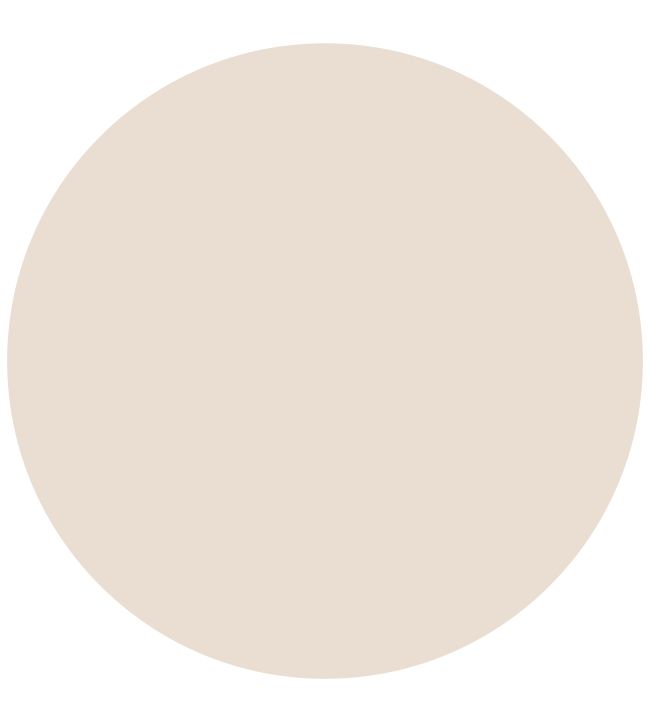 Rose sales white paint