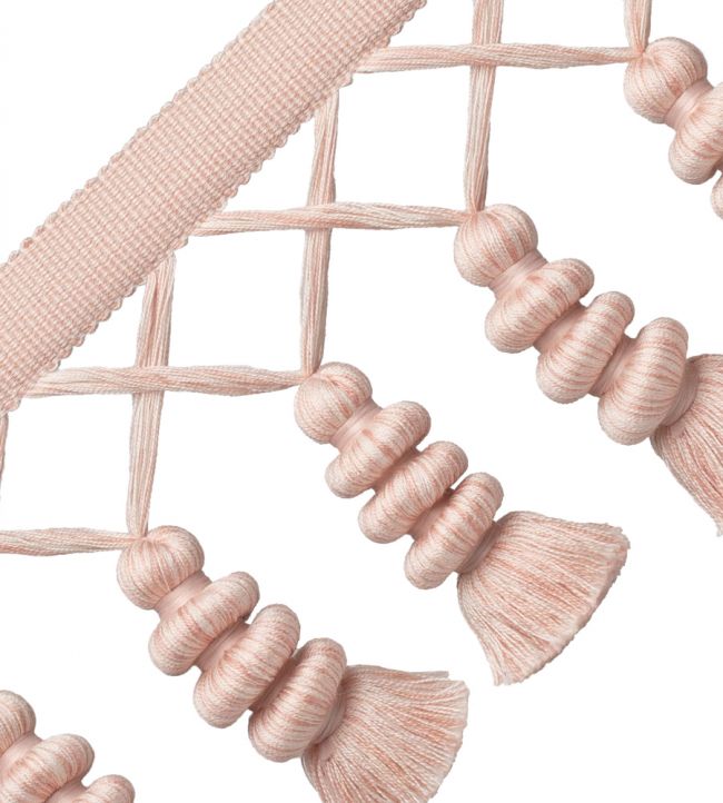 Caitlin Tassel Fringe Trimming by Samuel & Sons Apple Blossom