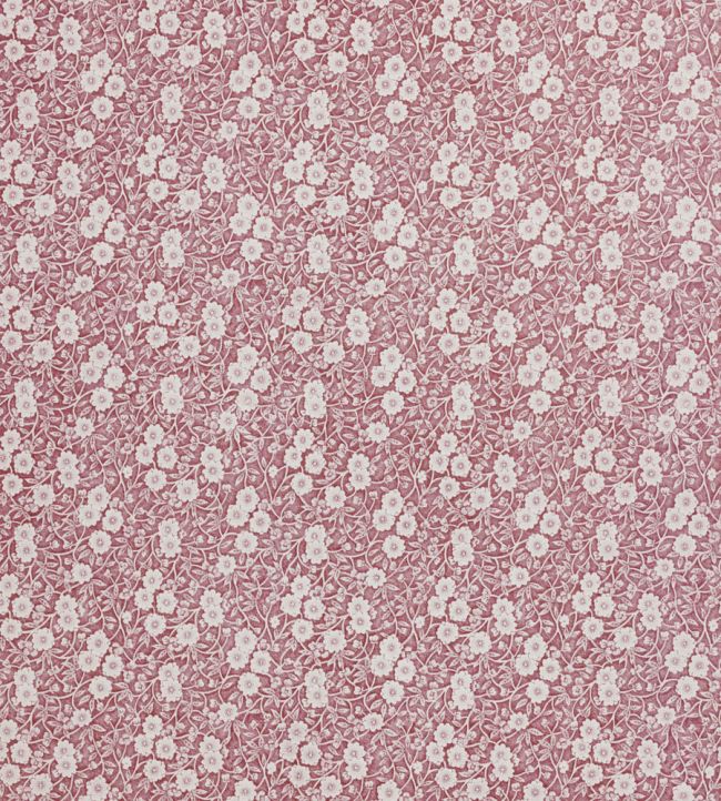 Calico Wallpaper in Burnt Rose by Burleigh X Barneby Gates Jane Clayton