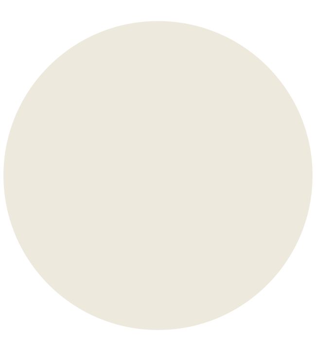 Cameo White Active Emulsion Paint by Sanderson