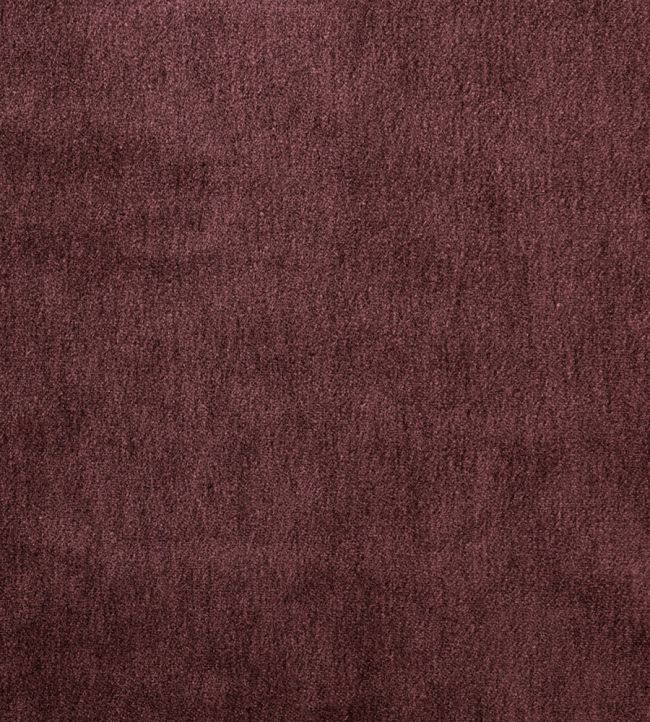 Cape Mohair Fabric by Warwick Beetroot