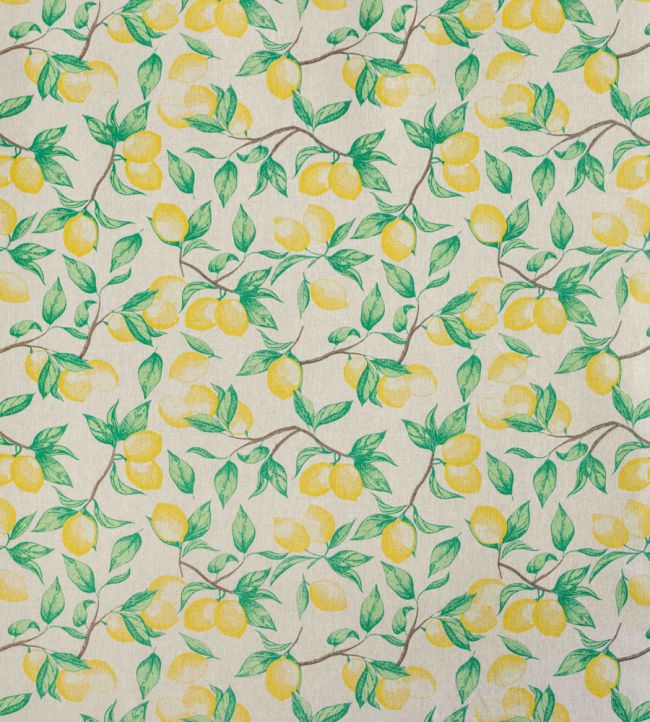 Capri Lemon Fabric by Barneby Gates Natural