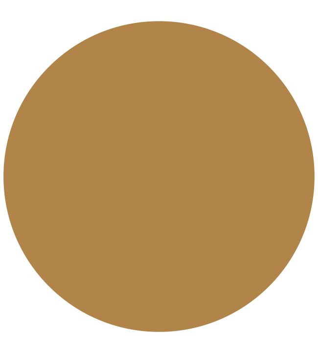 Annie Sloan Carnaby Yellow Satin Paint Jane Clayton