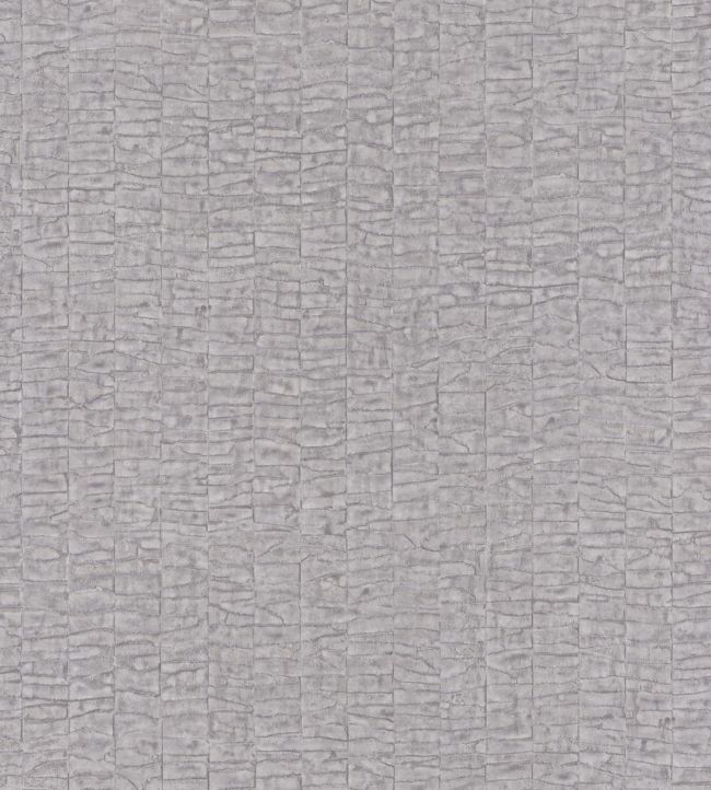 Caiman Wallpaper by Casamance Champagne