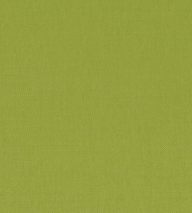 Paris Texas Fabric by Casamance Vert Mousse