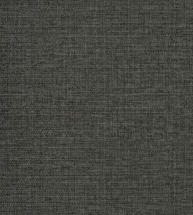 Carioca Wallpaper by Casamance Carbone