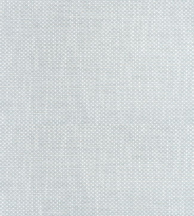 Cascade Fabric by Thibaut Glacier